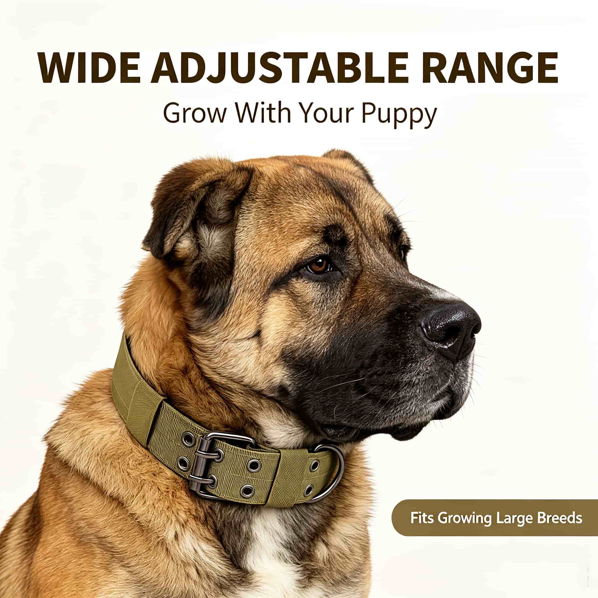 Kamuflażowa taktyczna obroża d – Outdoor Hunting Dog Collar recenzja i cena