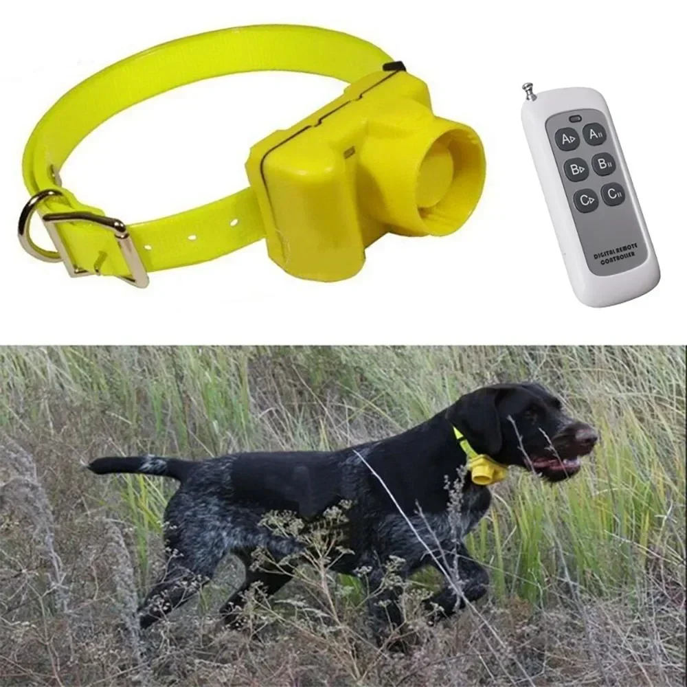 CC-PetPulse Wodoodporne obroże – Outdoor Hunting Dog Collar recenzja i cena