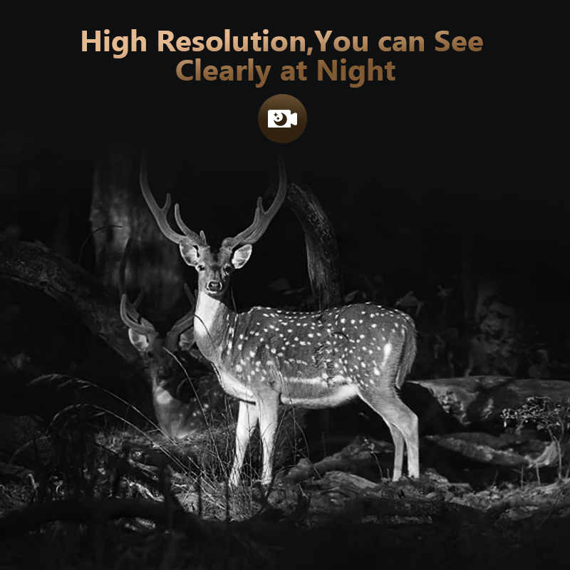 Kamera do gier 4G 4MP Outdoor  – Hunting Outdoor Game recenzja i cena